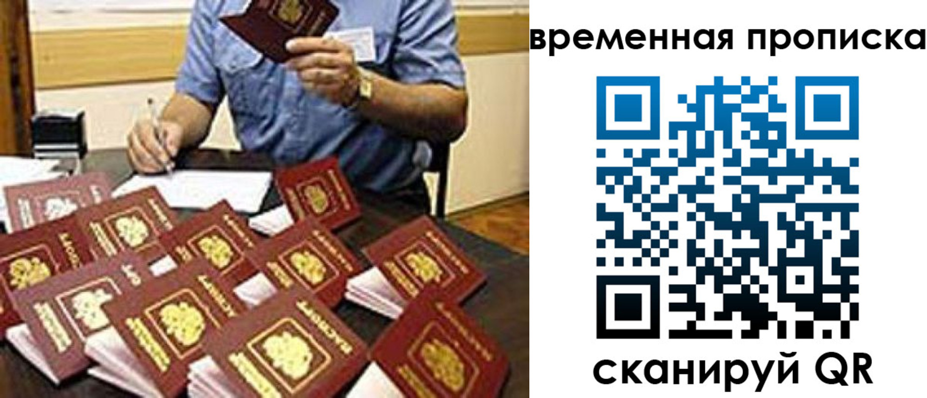 прописка для школы в Ясногорске